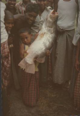 malek with fish